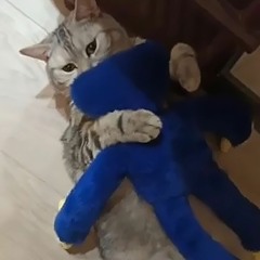 Empire of Geese — Рыбанутая Любовь (brk Remix)