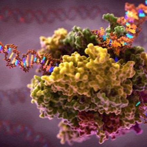 Its going away  remote collab Henry Koek & Christophe Meulien / GOM