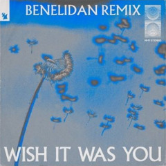 Audien - Wish It Was You (Benelidan Remix)