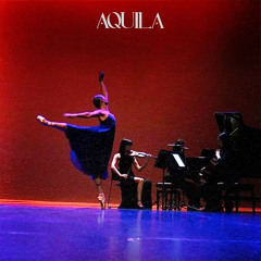 Love Theme  (From "AQUILA")