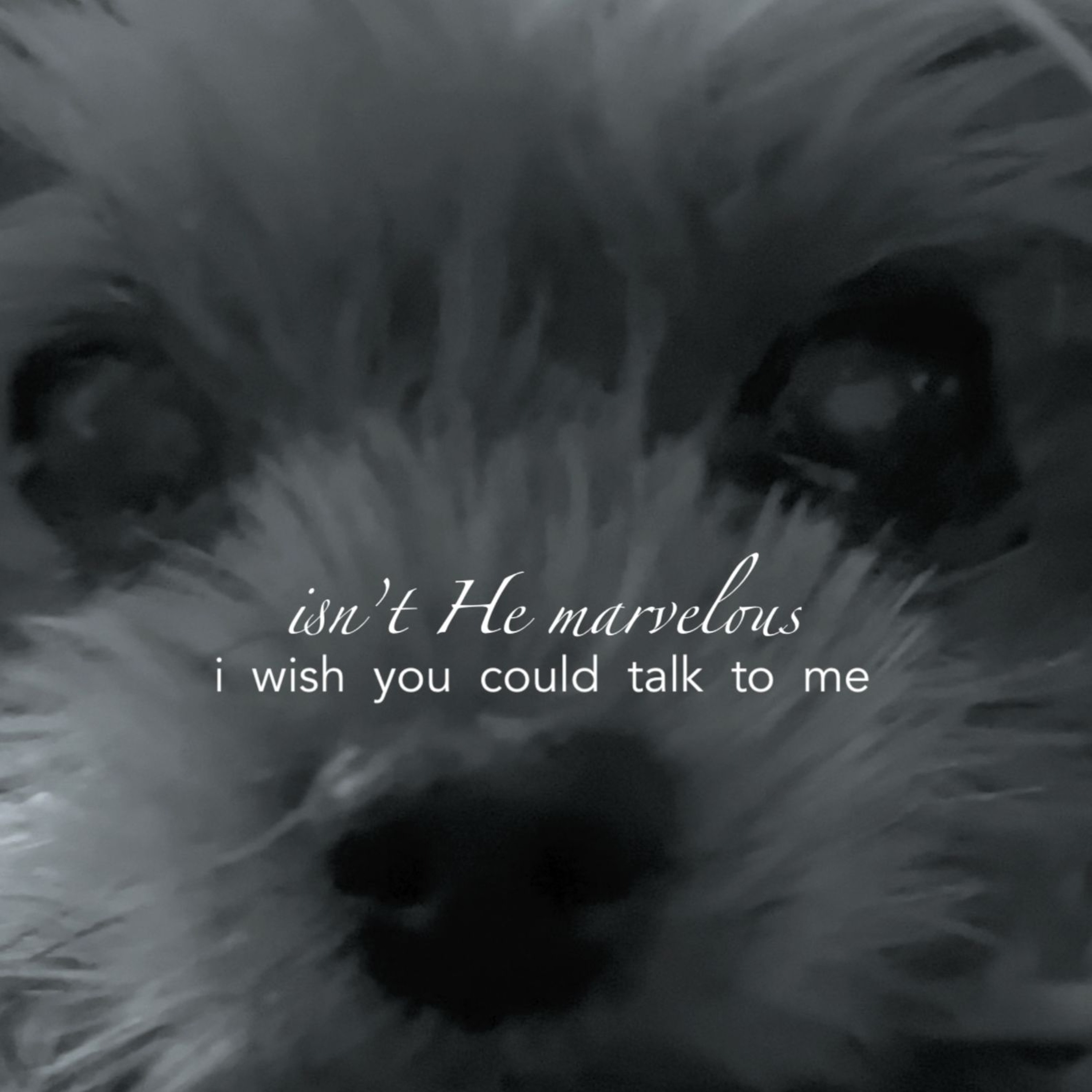 ISN'T HE MARVELOUS? I Wish You Could Talk To Me episode artwork