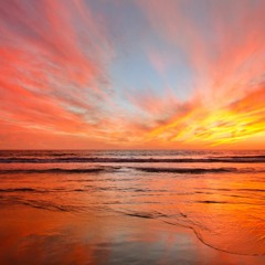 Matty McNicholl Spring Journey 2020