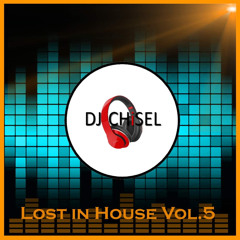 Lost In House Vol 5