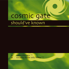 Should've Known (Extended Mix) [feat. Tiff Lacey]