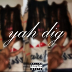 yah dig