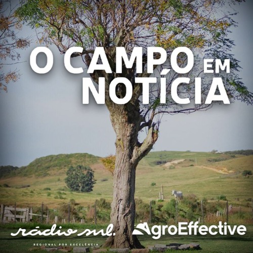 Programa - O Campo em Notícia 22 11 2025