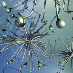 VIRAL! [XX]