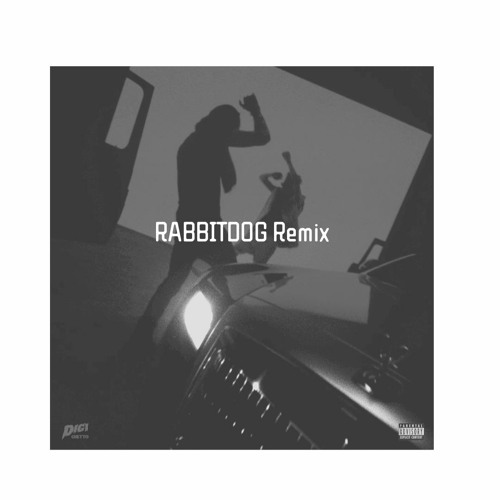 土黑娃2022（RABBITDOG REMIX）REV1