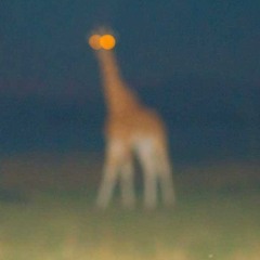 Push Up Vs Eyes Closed - Creeds & Marlo (Yappbedabedu Mashup)