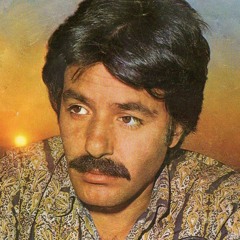 OLSAN İÇMEZ MİYDİN - FERDİ TAYFUR