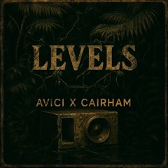 LEVELS-Avici DUB FLIP