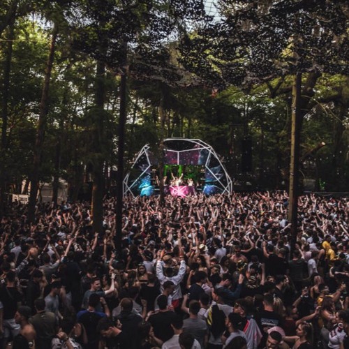 Stream Forest Battle Dance by Tommy GG | Listen online for free on ...