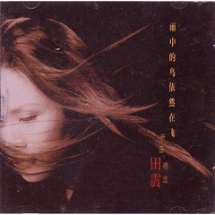 Stream 順其自然(節奏版) by 田震| Listen online for free on