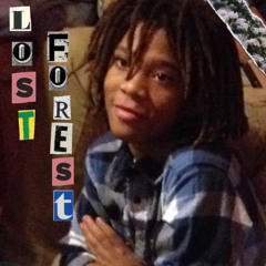 Lost Forest - Viralmoni