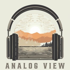 Analog View