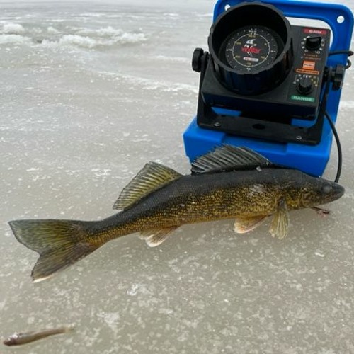 Stream First Ice Fishing Reports and Northern Long Eared Bat Endangered
