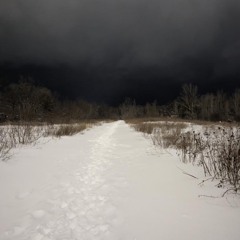 I sometimes wish the winter air helped