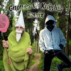 Gnomes Vs Knights Remix