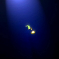 Outer Life (Low Quality Version)