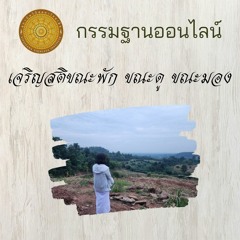 เสียงนำเจริญสติขณะพัก ขณะดู ขณะมอง