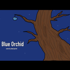 Blue Orchid (The White Stripes Cover)