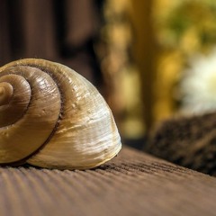 Original Mix - Caracol VERSIÓN RADIO