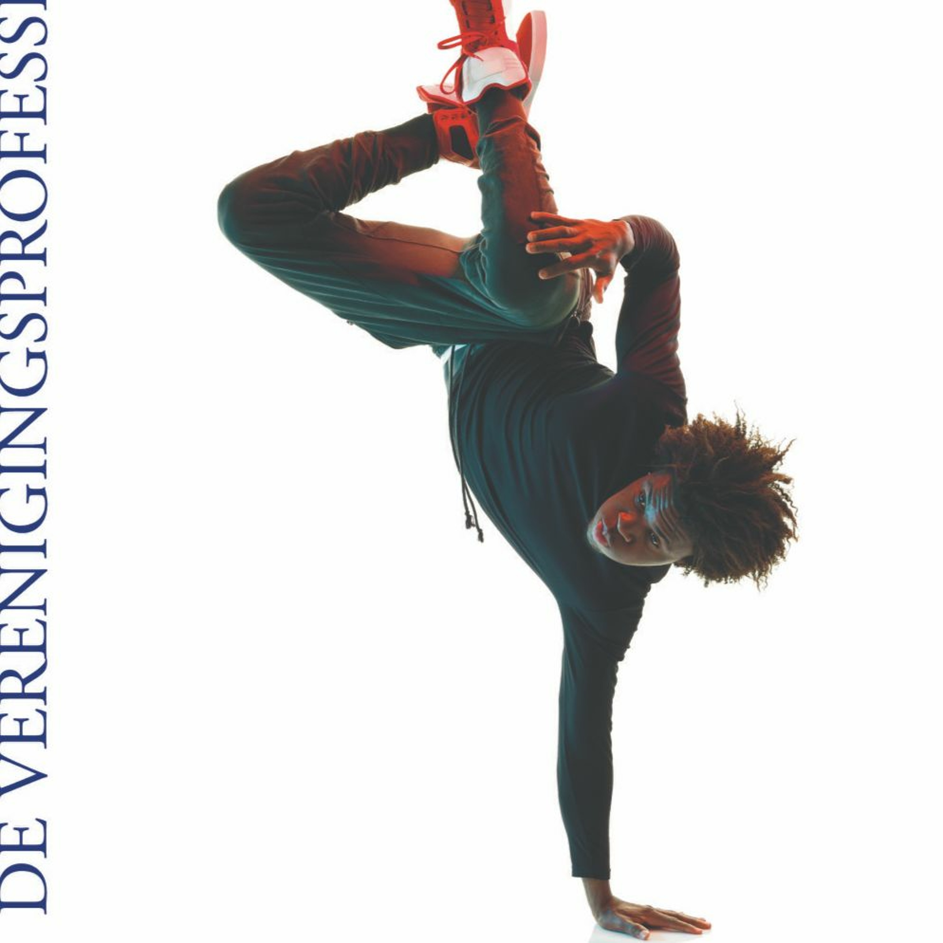 VP de Verenigingsprofessional