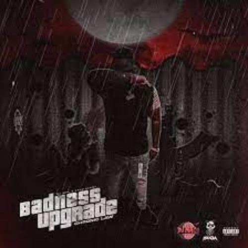Chronic Law - Badness Upgrade