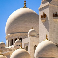 سيأتي الضياء برغم الغيوم')) الشيخ أنس السلطان