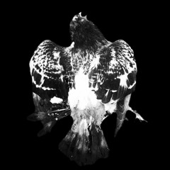 Beloved Pak + January '22