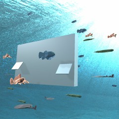 Fish Facts