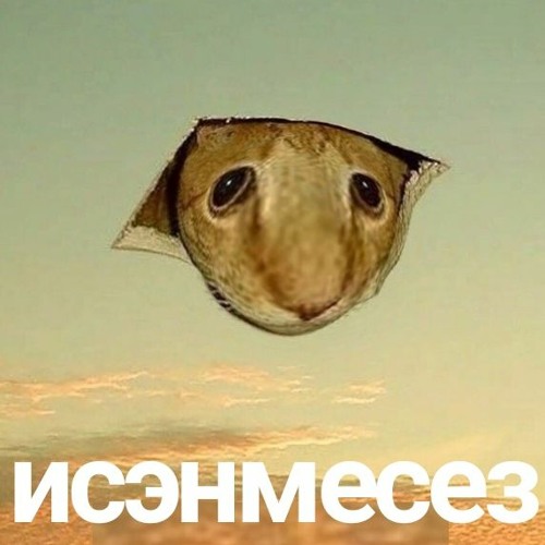 Listen to playlists featuring Maslori - v2.0 Малай На Белом Барсе ...