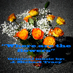 Where are the flowers  (s)