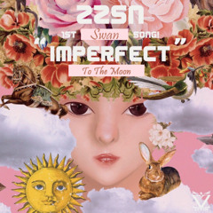 ZZSN - Focus(On You)