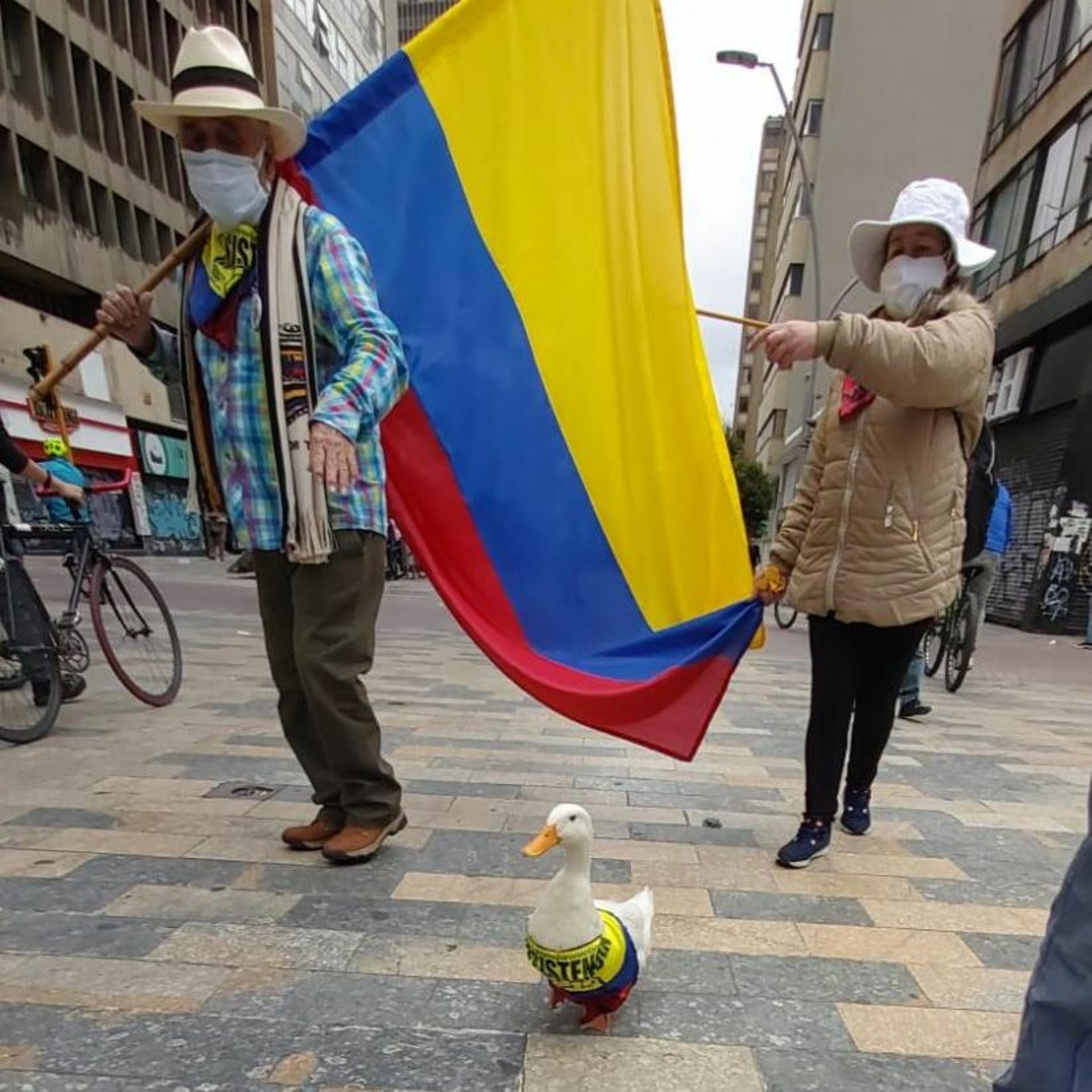 "Notas sobre un “estallido social” en Colombia. El paro nacional 28A" en Entre Líneas episode artwork