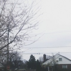 blossoming period