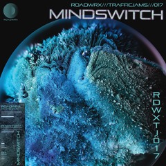 RDWXTJ:017 - Mindswitch
