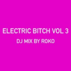 ELECTRIC BITCH VOL 3 (NON-STOP DJ MIX BY ROKO)
