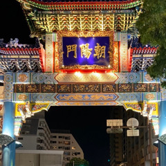 Japan Weakness（MOON&Shiny）