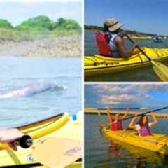 Review Special Price 2-Hour Guided Kayak Eco Tour In Charleston