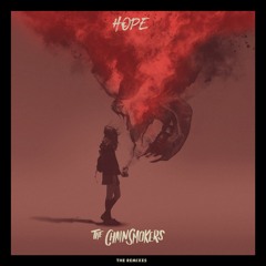The Chainsmokers feat. Winona Oak - Hope (Parker Remix)