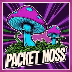 Packet Moss Live @ Sophia's Forest