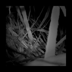 INFINITE.THOUGHT.CHAMBER