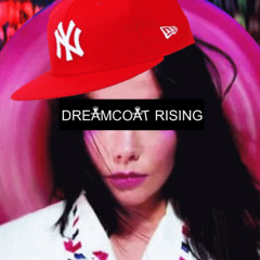 Björk - Army of Me (Dreamcoat Rising piraatti)