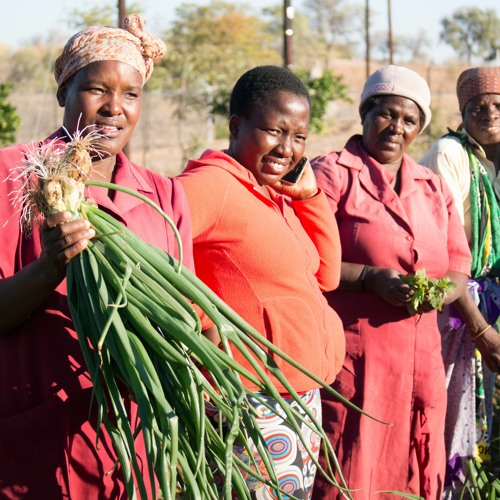 Stream Building Climate Resilience - South Africa - SANBI by Adaptation ...