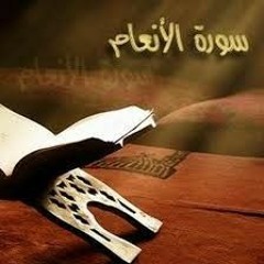 تلاوة من سورة الأنعام | برواية روح عن يعقوب الحضرمي | بصوت القارئ عمر علي