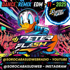 DANCE REMIX EDM 124BPM DJ PETER FLASH 11-2025