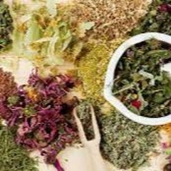 Red Clover - A Refreshing And Calming Herb To Smoke