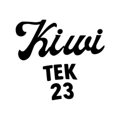 KIWITEK23-Vinyl Experiencie