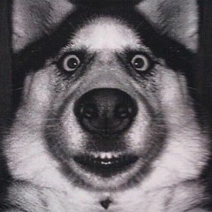 Mag.Lo NEVER (MOTH) REMIX